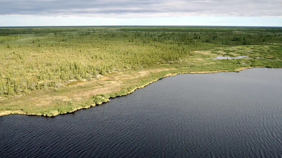 Aerial view of Ramparts wetlands near Fort Good Hope, NWT